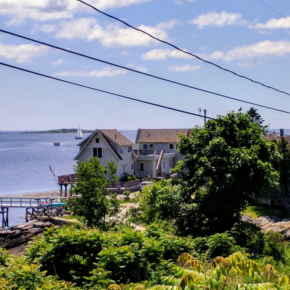 Meet your Posher, Erika